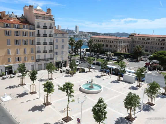 Vue aérienne de la place avec des arbres encadrant la place avec au milieu une fontaine.