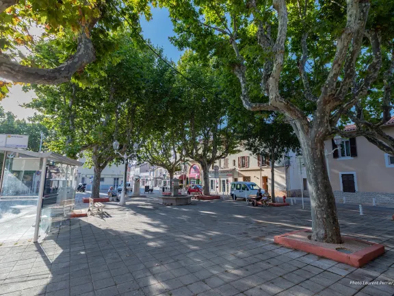 Place dallée avec des arbres, des bancs ainsi qu'une fontaine.