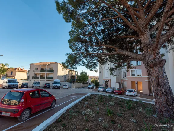 Place avec un grand pin et des places de stationnement