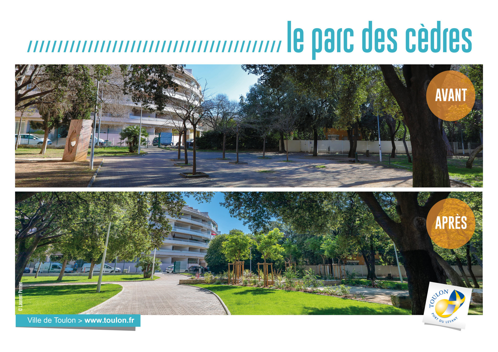 Le parc des cèdres