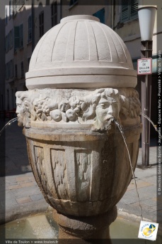 Fontaine du Vieux Palais