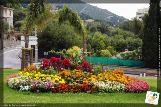 Toulon en fleurs