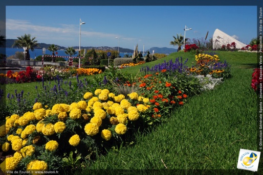 Toulon en fleurs