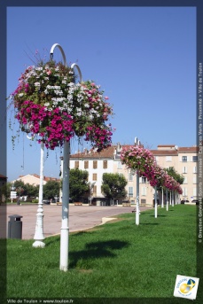 Toulon en fleurs