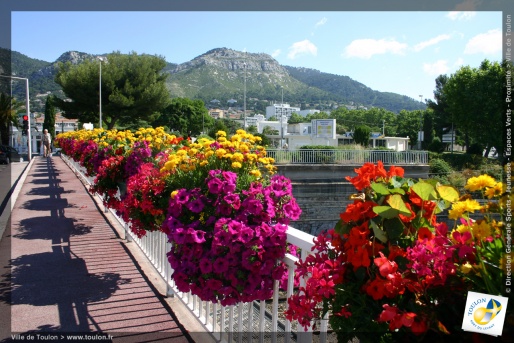 Toulon en fleurs