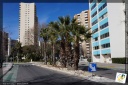 Aujourd'hui Avenue Edouartd le Bellegou