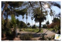 Jardin d'acclimatation