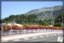 Toulon en fleurs